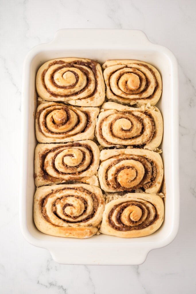 cinnamon rolls in baking sheet